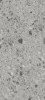 SG27017 Керамогранит Terrazzo Light Grey str 120x270