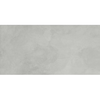 SG50001120R Evolution Smoke светло-серый 60x119,5