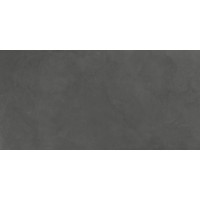 SG50001220R Evolution Gris серый матовый 60x119,5