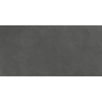 SG50001220R Evolution Gris серый матовый 60x119,5