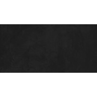 SG50001320R Evolution Nero чёрный 60х119,5