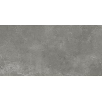 SG50001520R Nord Gris серый 60x119,5