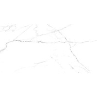 SG50002420R Керамогранит Discovery Blanco белый 60х119,5