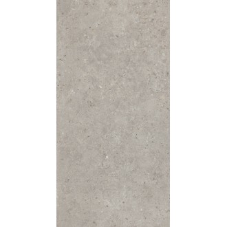 SG519920R Керамогранит Риккарди серый светлый матовый обрезной 60х119,5