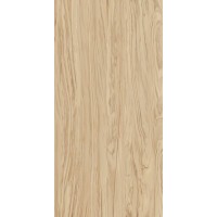 SG565200R Керамогранит Олива бежевый обрезной 60*119.5