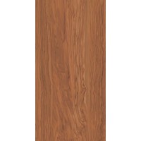 SG565300R Керамогранит Олива коричневый обрезной 60*119.5