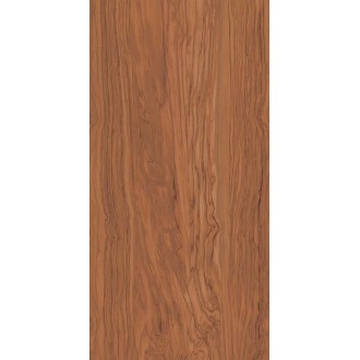 SG565300R Керамогранит Олива коричневый обрезной 60*119.5