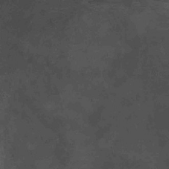 SG603820R Evolution Gris серый матовый 60х60