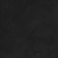 SG603920R Evolution Nero чёрный 60х60