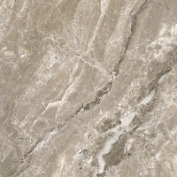 SG644820R Irida серый обрезной 60х60