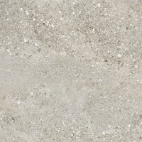 SG646420R Pallada серый обрезной 60х60