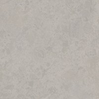 SG956300N Керамогранит Ферони серый светлый матовый 30x30