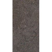 SGW62W13100A Плитка Flamel Dark 31х61