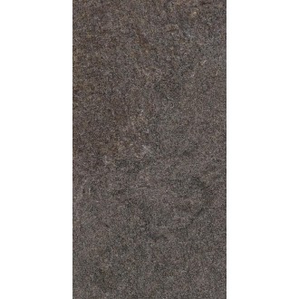 SGW62W13100A Плитка Flamel Dark 31х61