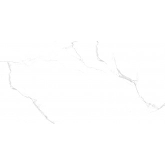 SILVER STATUARIO GLOSSY 60x120