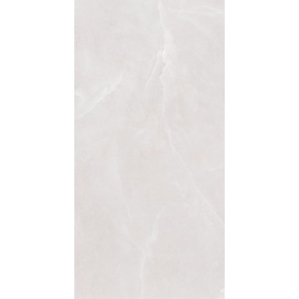 SLL61281G Керамогранит Shell Ice Struct. 60x120
