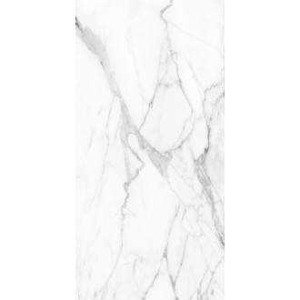 SM01 Supreme Platinum Полированный 60x120x9