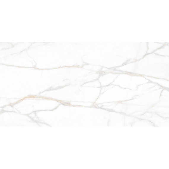 Керамогранит SM02 Supreme неполированный 60x120x10