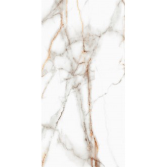 SM03 Supreme Ferrum Полированный 60x120x9