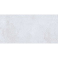 SN0L05M01 Керамогранит Silent Light Grey 600x1200