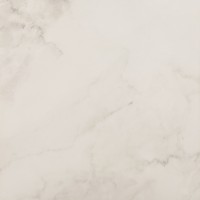 SNOW 60*60