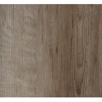 SPC2207 Дуб островной