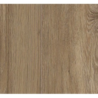 SPC2209 Дуб летний