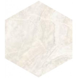 SP/SR/d01-cut/450x520