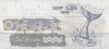 SRG451D Surf Многоцветный 44*20