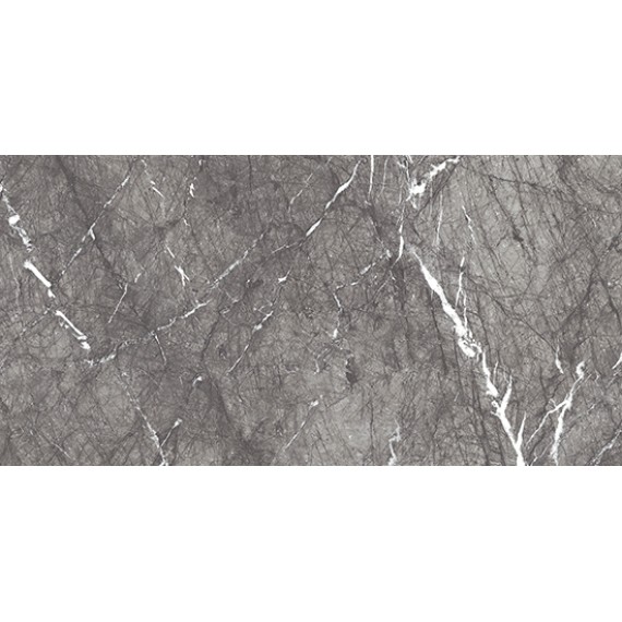 Керамогранит STARLIGHT TILES GLOSSY CARNICO GREY 50x100