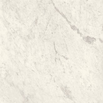 STARLIGHT TILES SMOOTH CARRARA WHITE 100x100