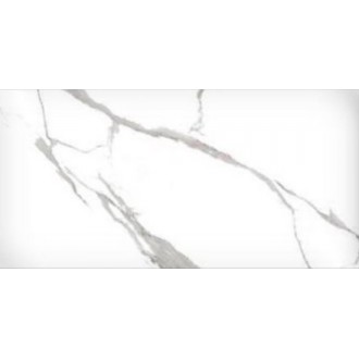 STATUARIO BIANCO GLOSSY 60x120