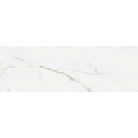 STATUARIO BRILLO 25x75