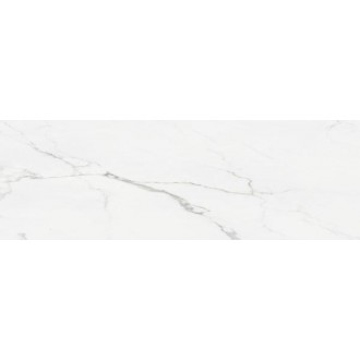 STATUARIO BRILLO 25x75