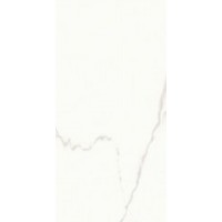 STATUARIO Matt Rectified 60х120