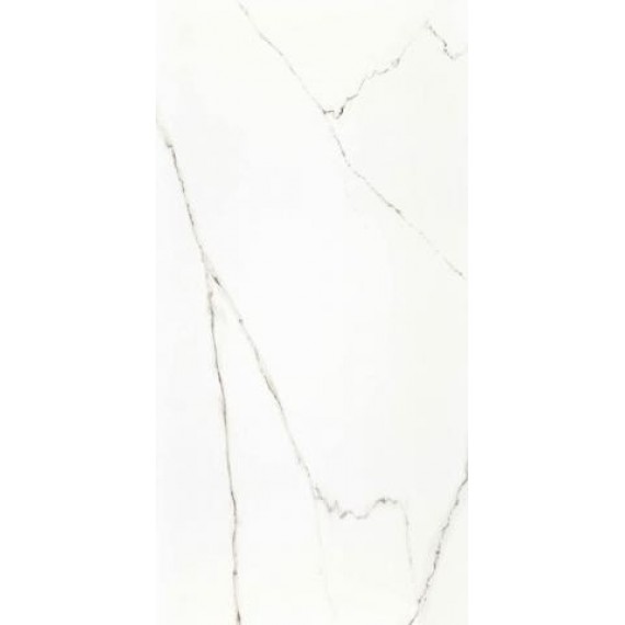 Керамогранит STATUARIO Parlak Nano Rectified 60х120