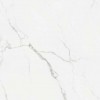 STATUARIO VARESSE BRILLO 45x45