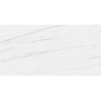 STATUARIO VENATO 60x120