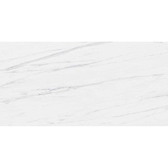 STATUARIO VENATO 60x120