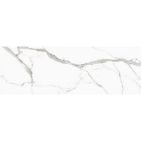 STATUARIO VENATO Polished 240x80