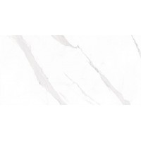 STATUARY Compacglass Blanco 30x60