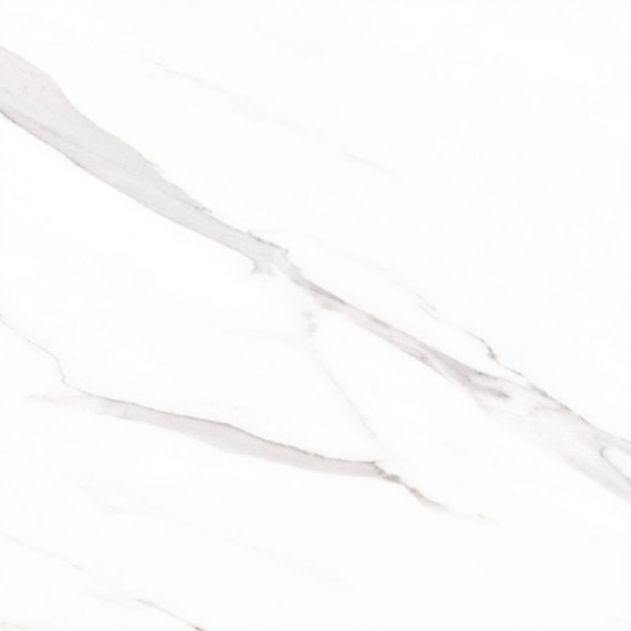 Керамогранит STATUARY Leviglass Blanco 120x120