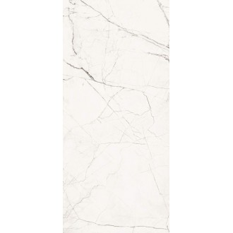 STA VP6 260 LP The Room 260x120