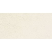 STUDIO IVORY 25*50