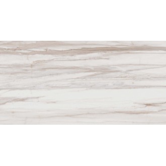 SV01 Сальварио Белый Неполированный Рект 60x120x9