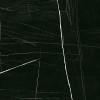 Sahara Noir Super Polished 120x120