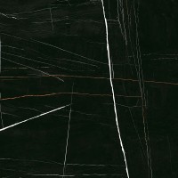 Sahara Noir Super Polished 120x120