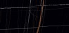 Saint-Laurent Matt 5мм 60x120