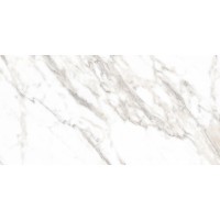 Salm Полированный 80х160