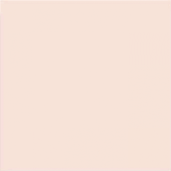 Керамогранит Salmon Mate 20x20